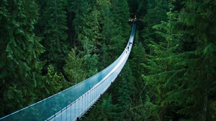 Самый протяженный подвесной мост в Канаде.