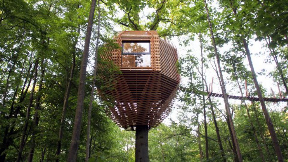 Raray Treehouse, Франция