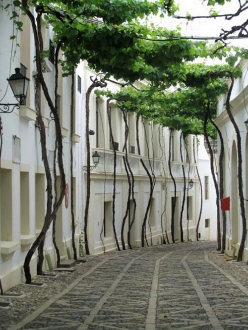 Улица в городе Херес-де-ла-Фронтера (Jerez), Испания