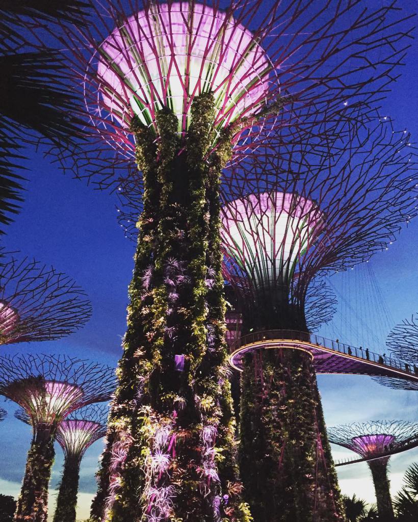 Металлические деревья, сады у залива, Сингапур