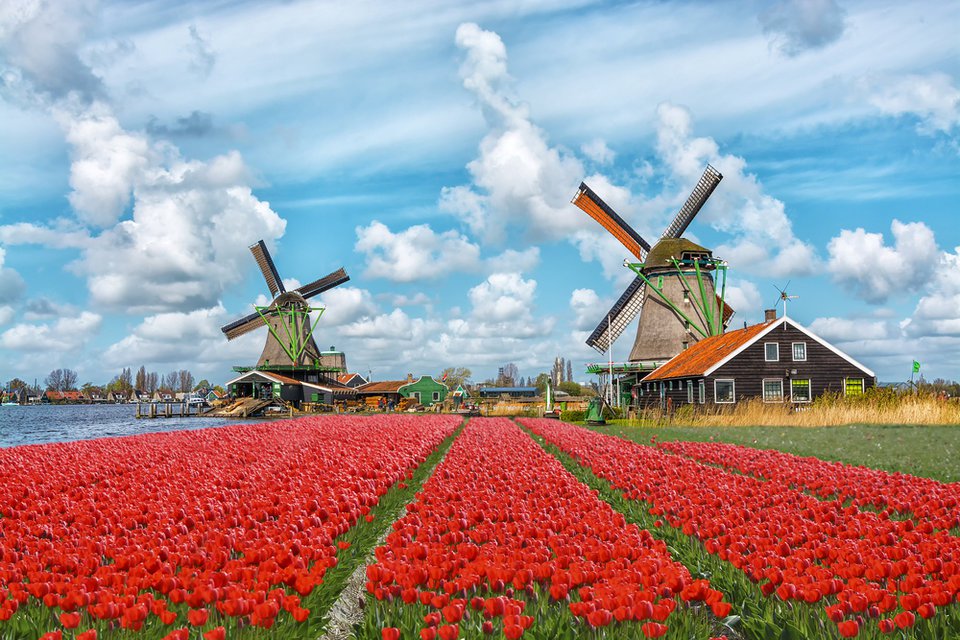 ветряные мельницы, Голландия